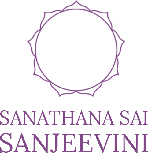 sanjeevini-logo-schriftzug