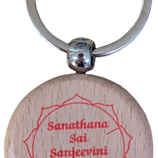 Sanjeevini Schlüsselanhänger - Schutz