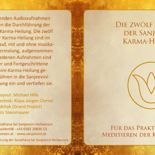 Die zwölf Schritte der Sanjeevini-Karma-Heilung CD