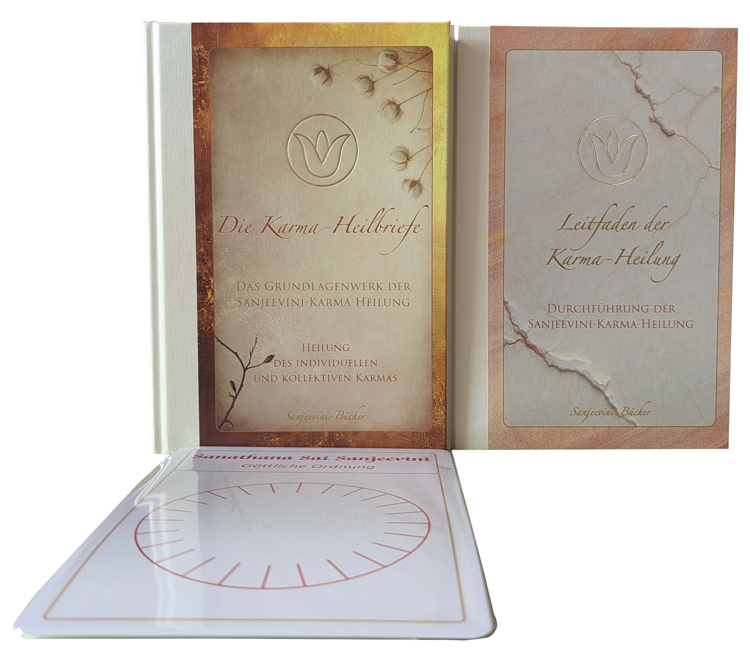 Sanjeevini-Karma-Heilungs-Bücher Paket